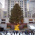 Christmas tree in Rockefeller Center